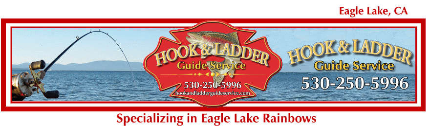Hook and Ladder Guide Service